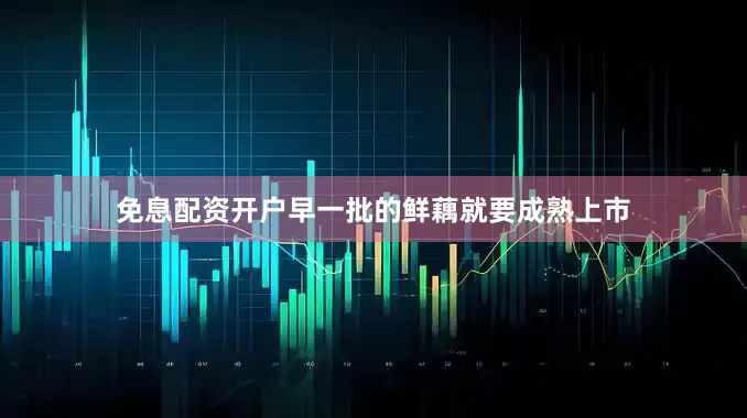 免息配资开户早一批的鲜藕就要成熟上市
