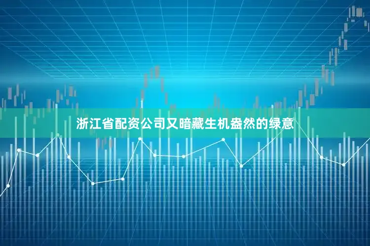 浙江省配资公司又暗藏生机盎然的绿意
