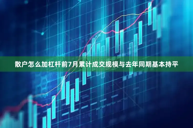 散户怎么加杠杆前7月累计成交规模与去年同期基本持平